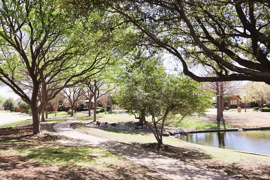 Scenic Walking Trails 