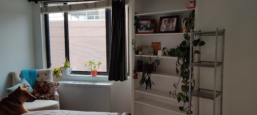 Second bedroom, with floor-to-ceiling built-in bookshelf. 