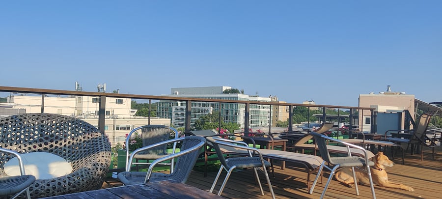 Southeastern view of the deck