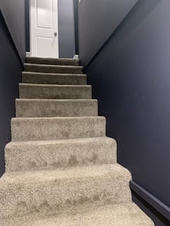 Stairs from lower half of unit.