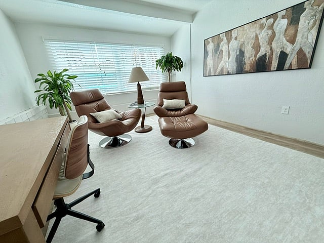 Bonus flex room with mid-century lounge and dedicated work space 