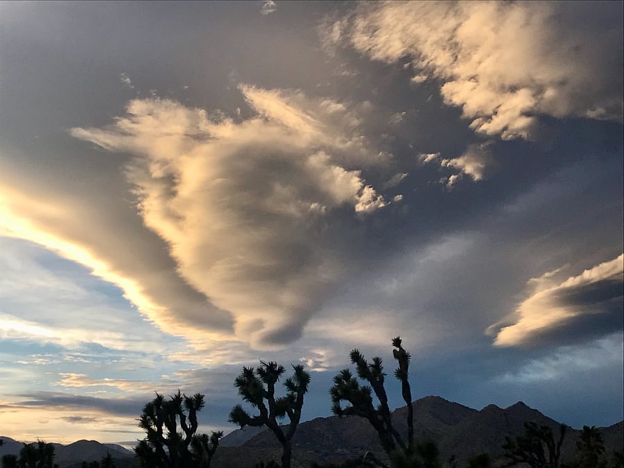 Endless gorgeous desert views across the street!!