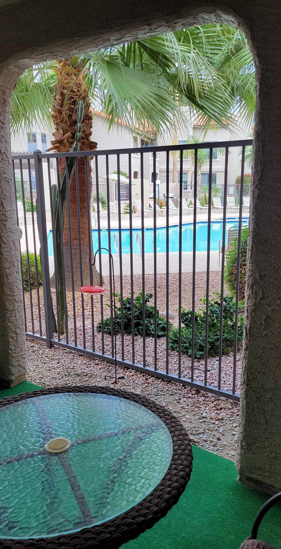 View from patio