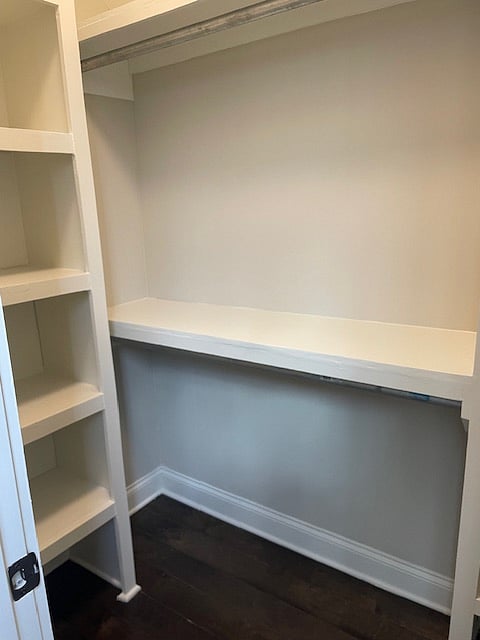 Spacious closet and shelving