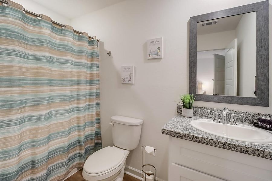 Master bedroom bath