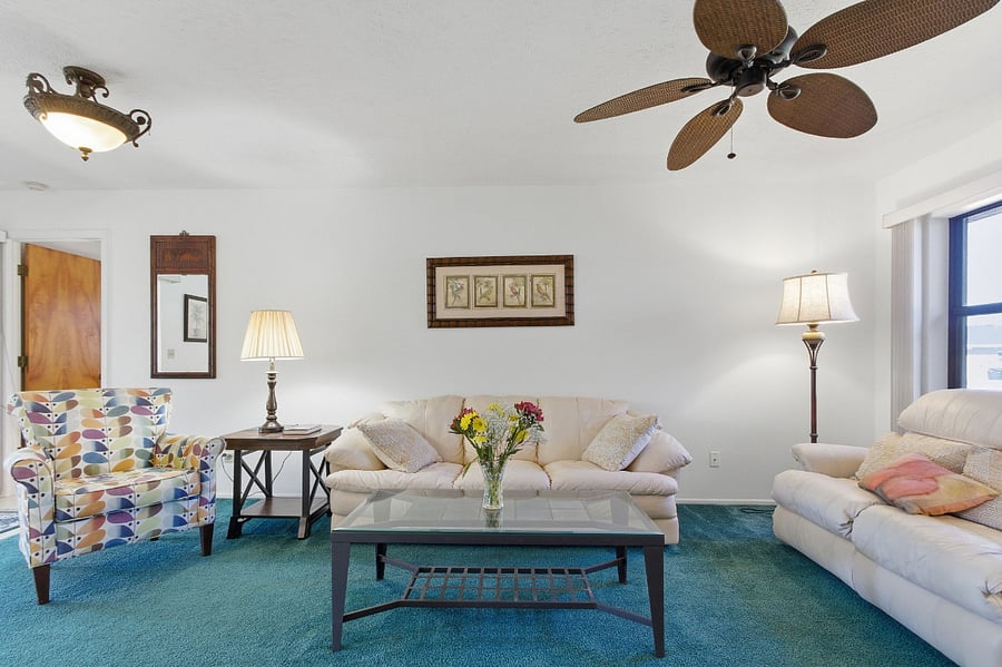 Living Room Couch
