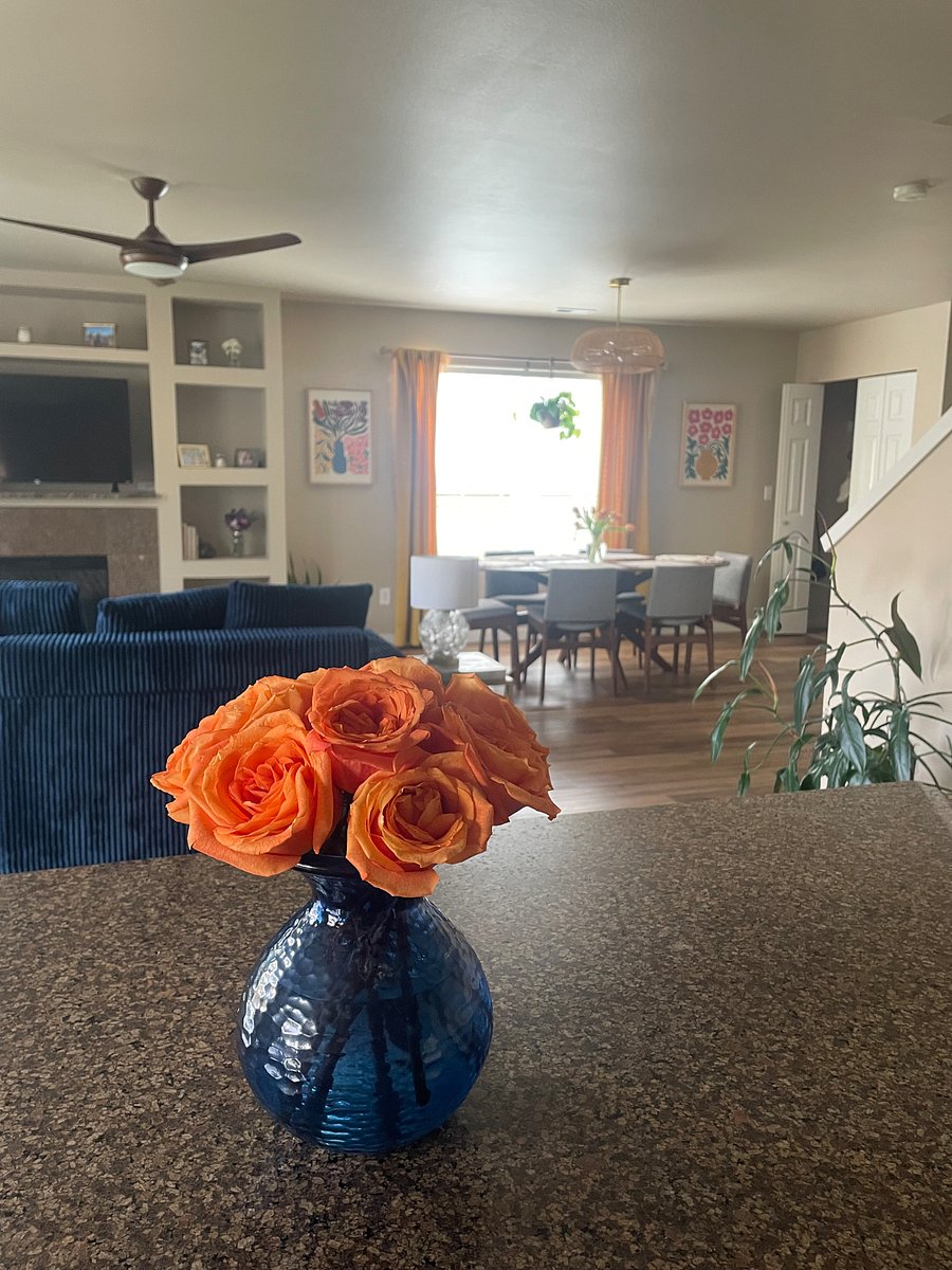 Furnished Finder property 974189_1 photo 9