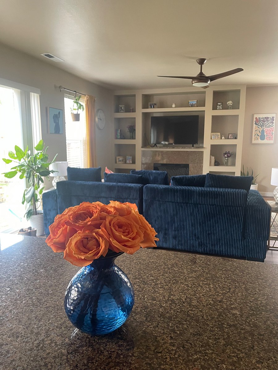 Furnished Finder property 974189_1 photo 13