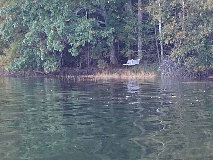 Bench on the river in the backyard