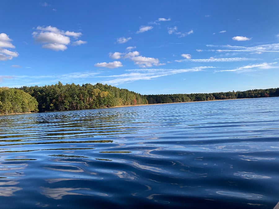 View of the Salmon Falls River