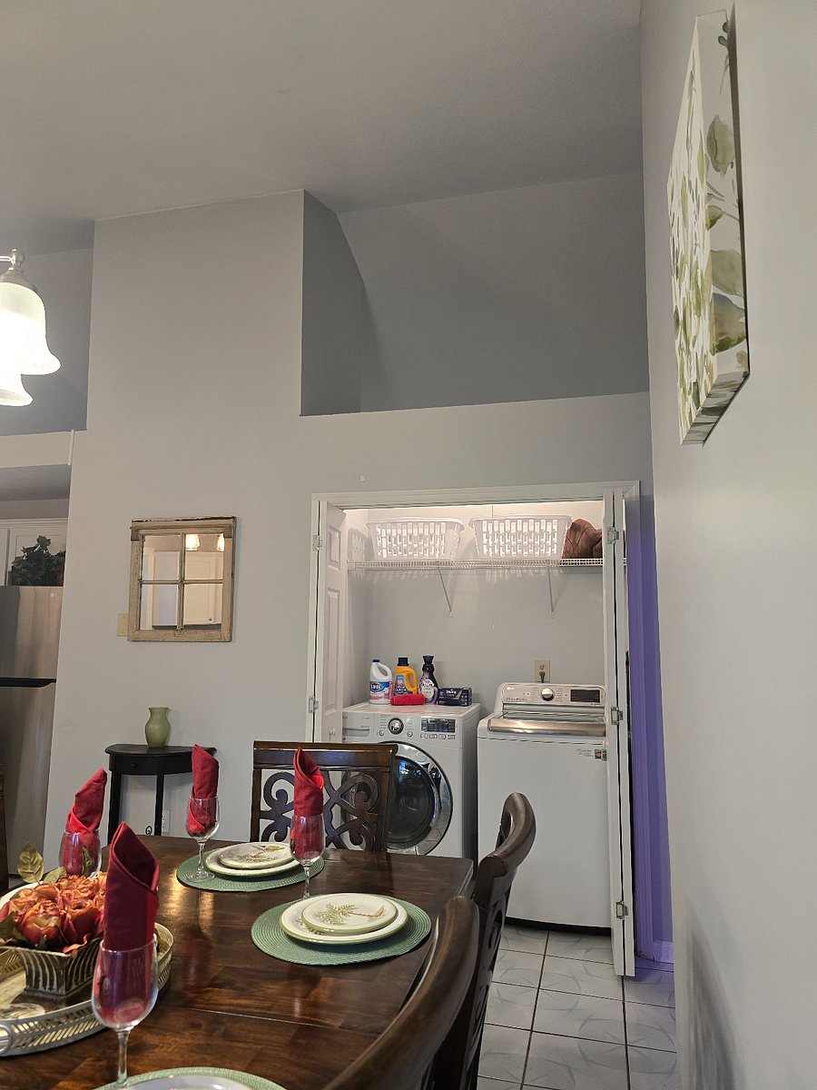 Washer and Dryer with laundry supplies.
