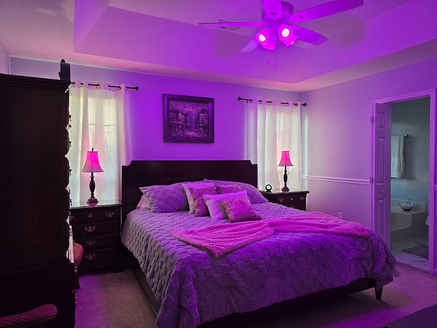 Main bedroom with 42" Smart TV, smart ceiling fan lights, smart lamps, and en-suite bathroom.