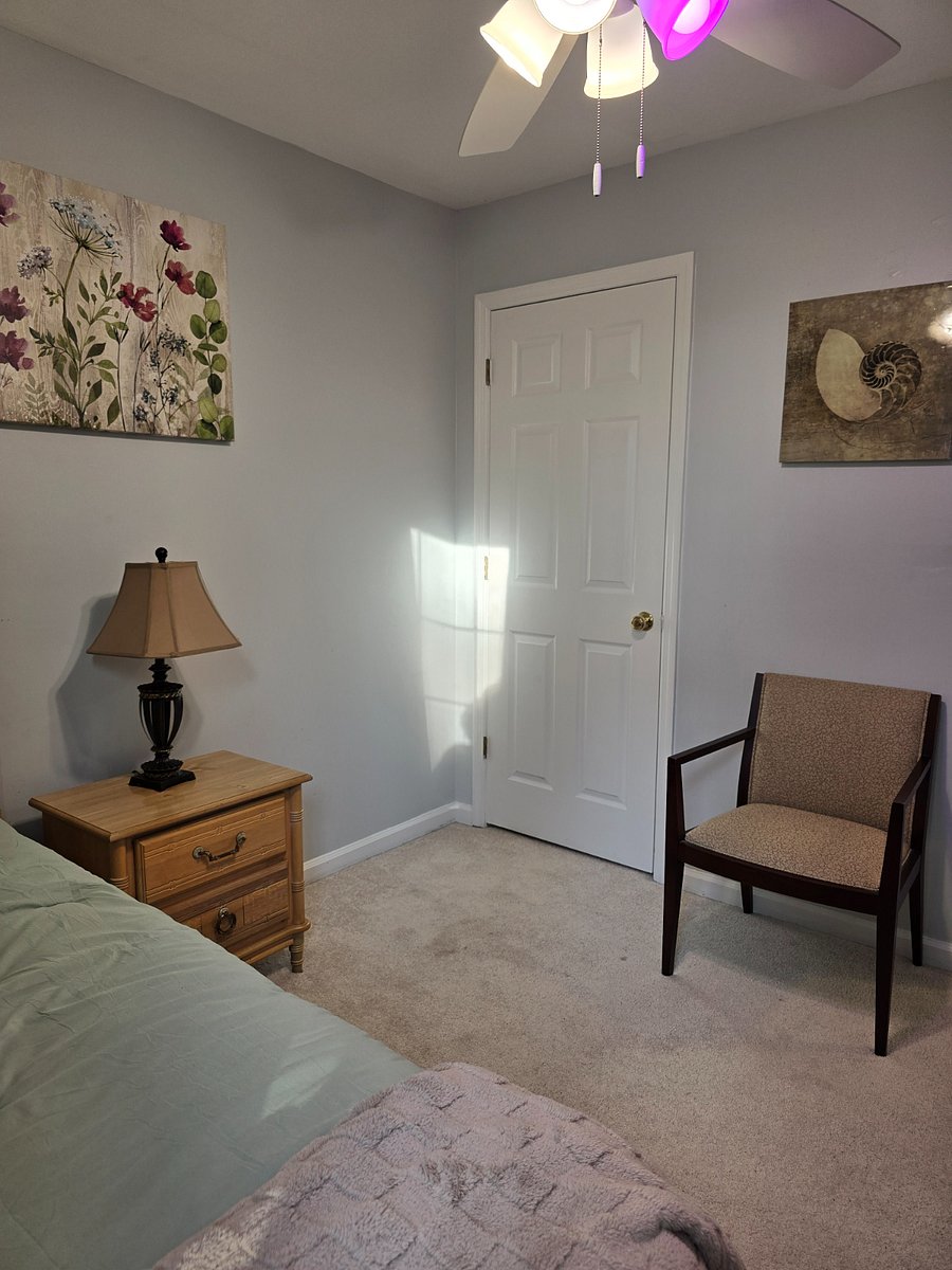 Twin Bed with Memory Foam Mattress, two comfy chairs, smart ceiling fan lights, and smart lamp.