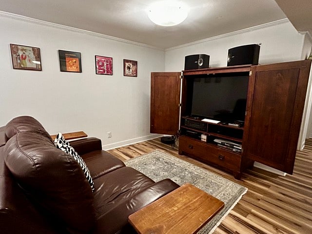 Entertainment Area of Basement