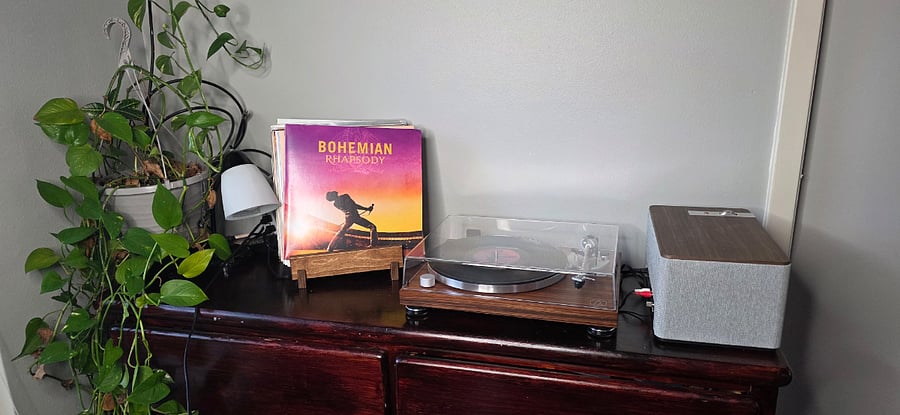 Plants and Record Player room with Audio-Technica turntable with 33 and 45 speeds, analog connected to the Klipsch speaker; speaker can also do BT to phone or laptop.