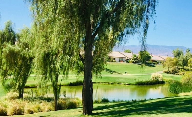 The golf course is well maintained