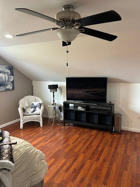 Large Screen TV
