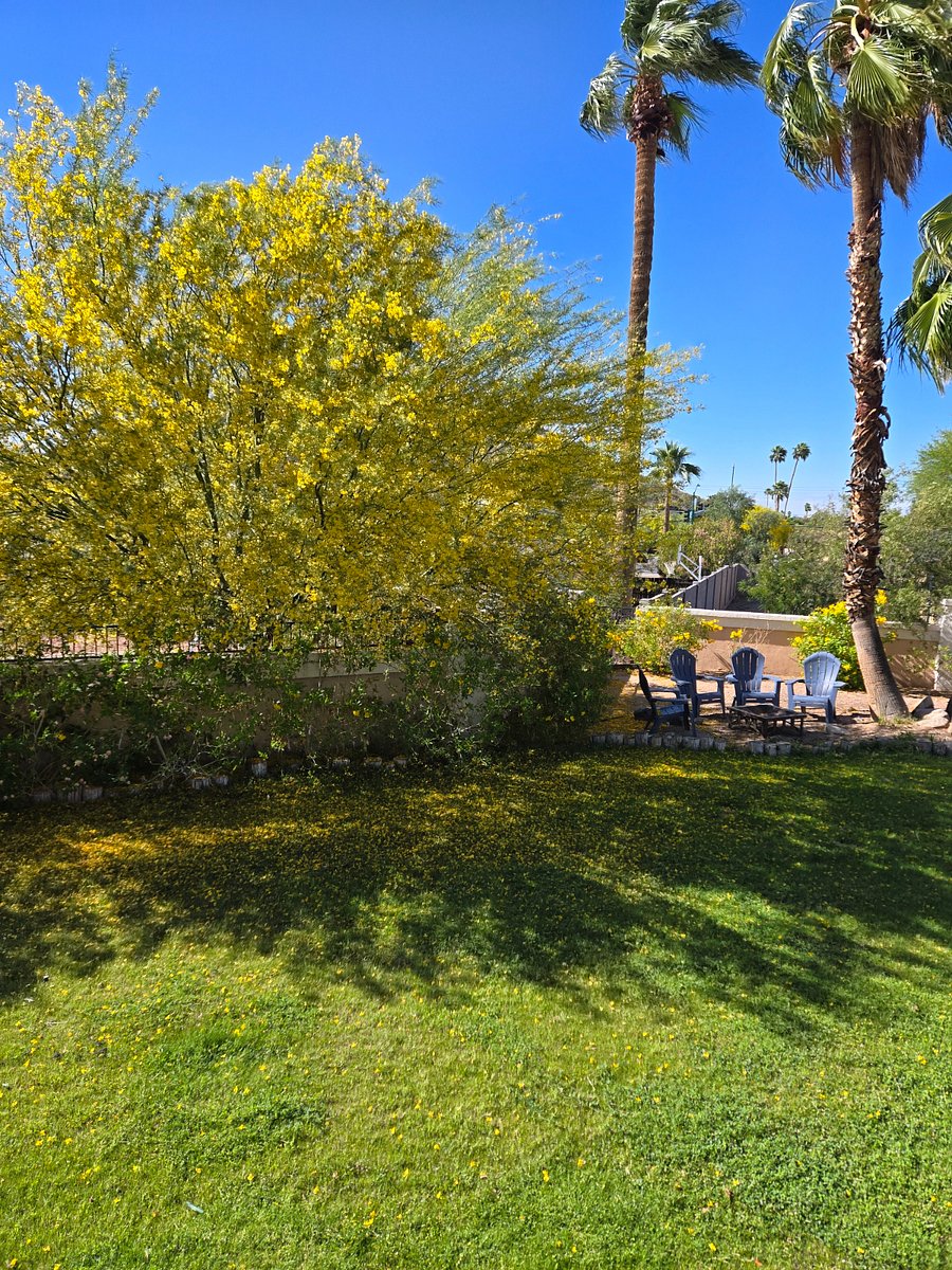 Furnished Finder property 974527_1 photo 16