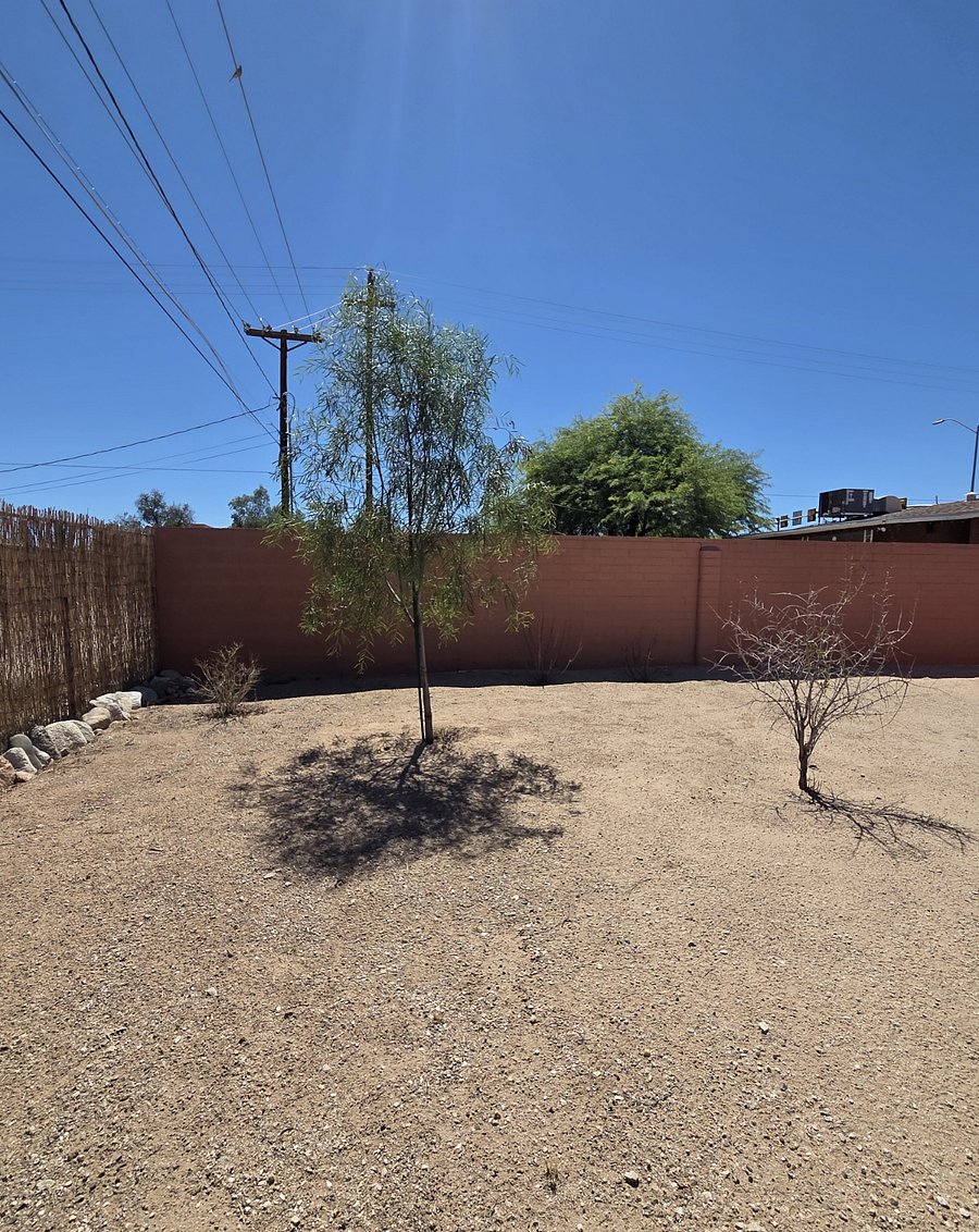 Extra Backyard Area