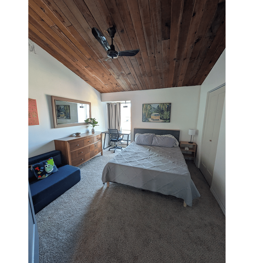 2nd bedroom - queen bed plus a fold out bed/couch