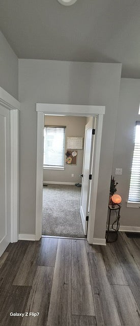 Office Area