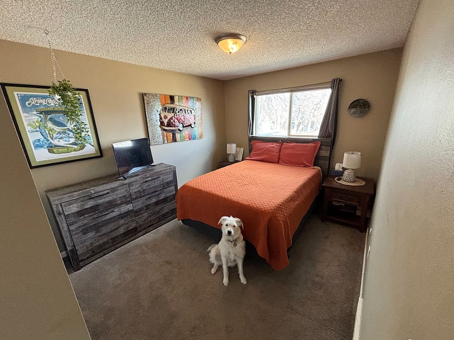 Room for rent. Featuring Winona who lives here.R
