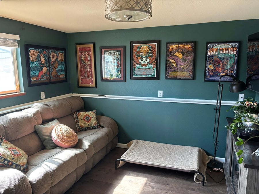 Downstairs Living Room/ Den
