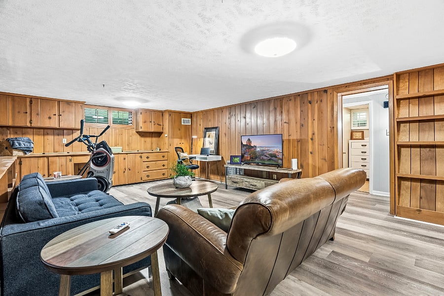 Lower level Rec Room/ Living Room