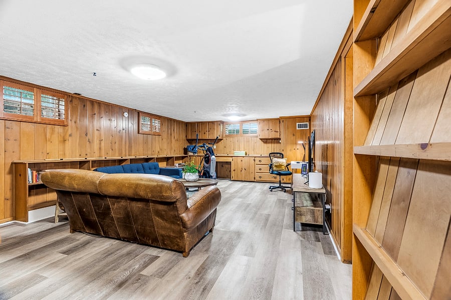 Lower level Rec Room/ Living Room