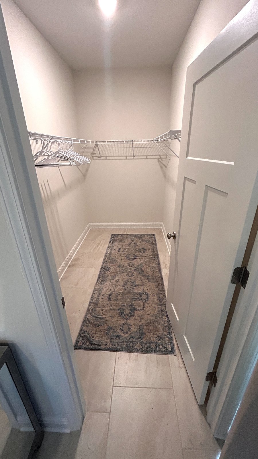 Primary bedroom with spacious walk in closet