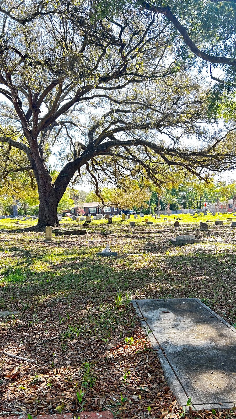 Front porch view of historic Magnolia cemetery