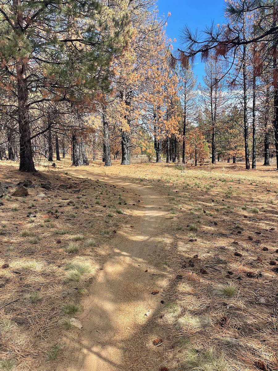 Trails just below resort