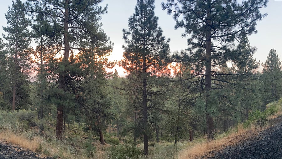 Sunset view from patio