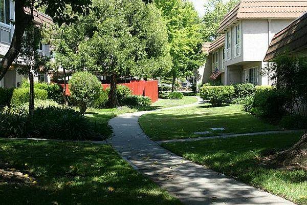 Green with path to Shops