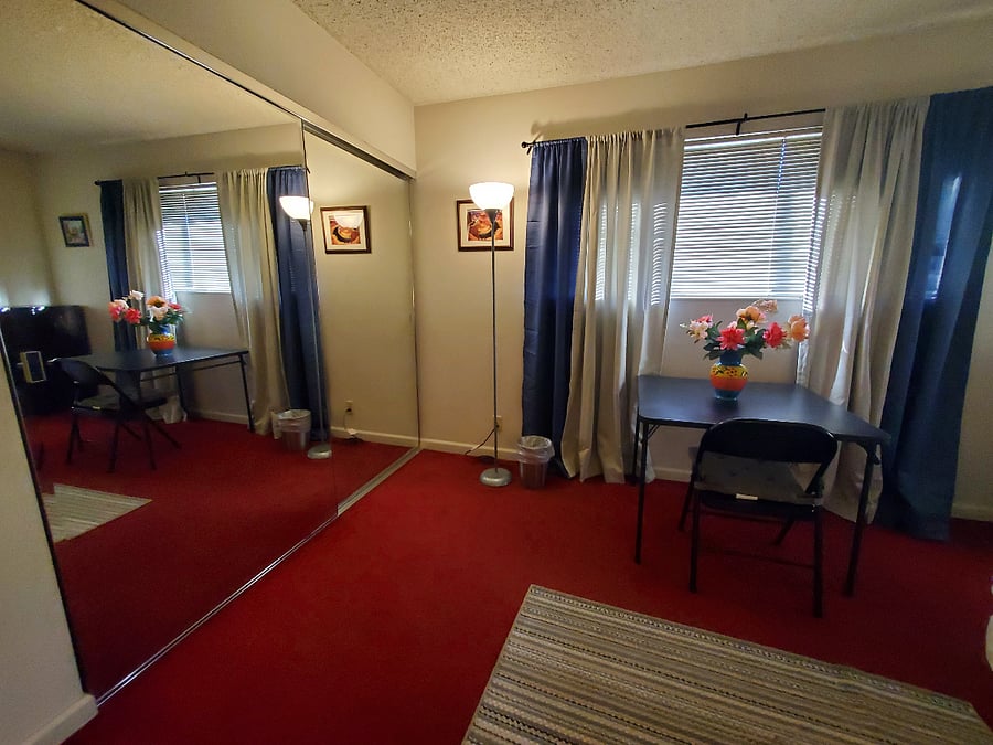 Big Mirror Closets
