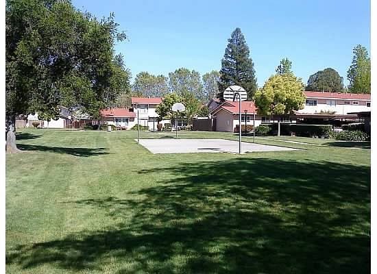 Complex Big Green Park 