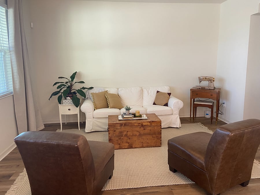 Clean living room with a lot of natural light.