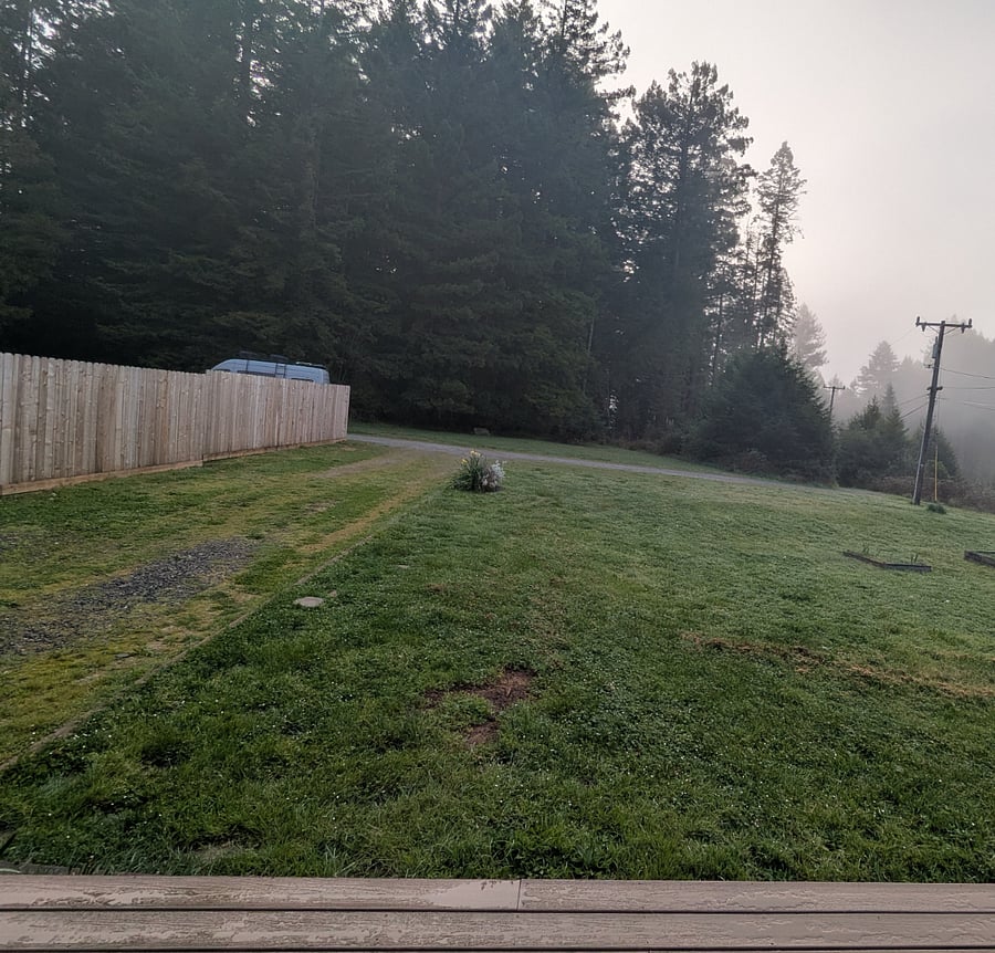 View from the front deck