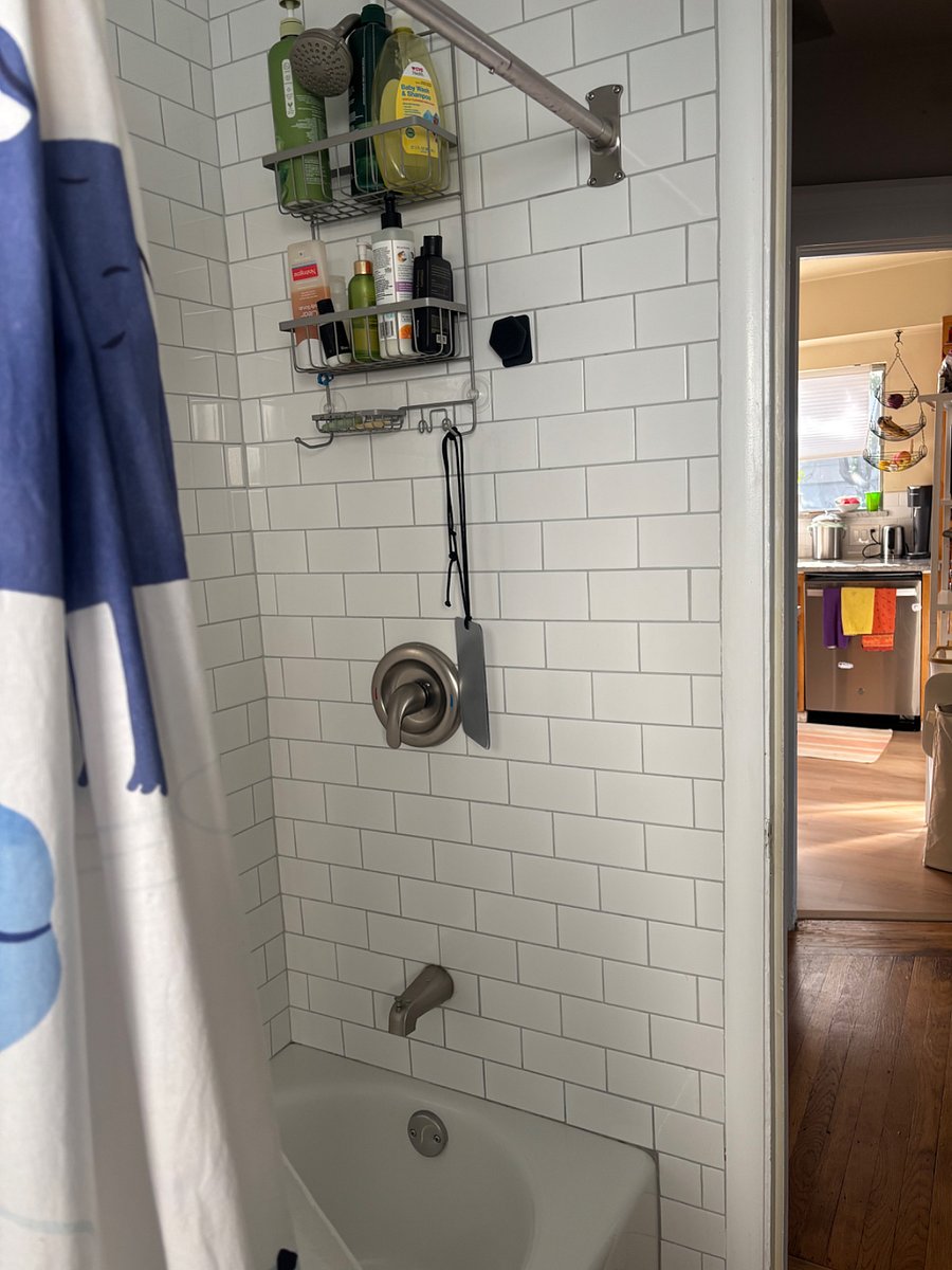 bathroom has shower and tub, recently remodeled.