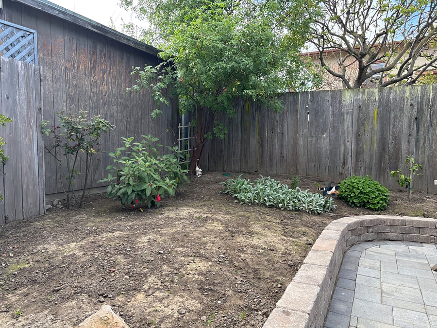 Backyard view 1
