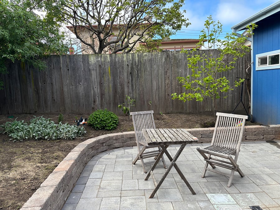 Backyard view 2