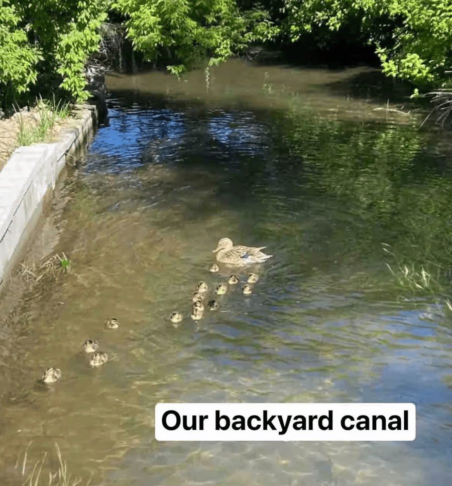 backyard canal