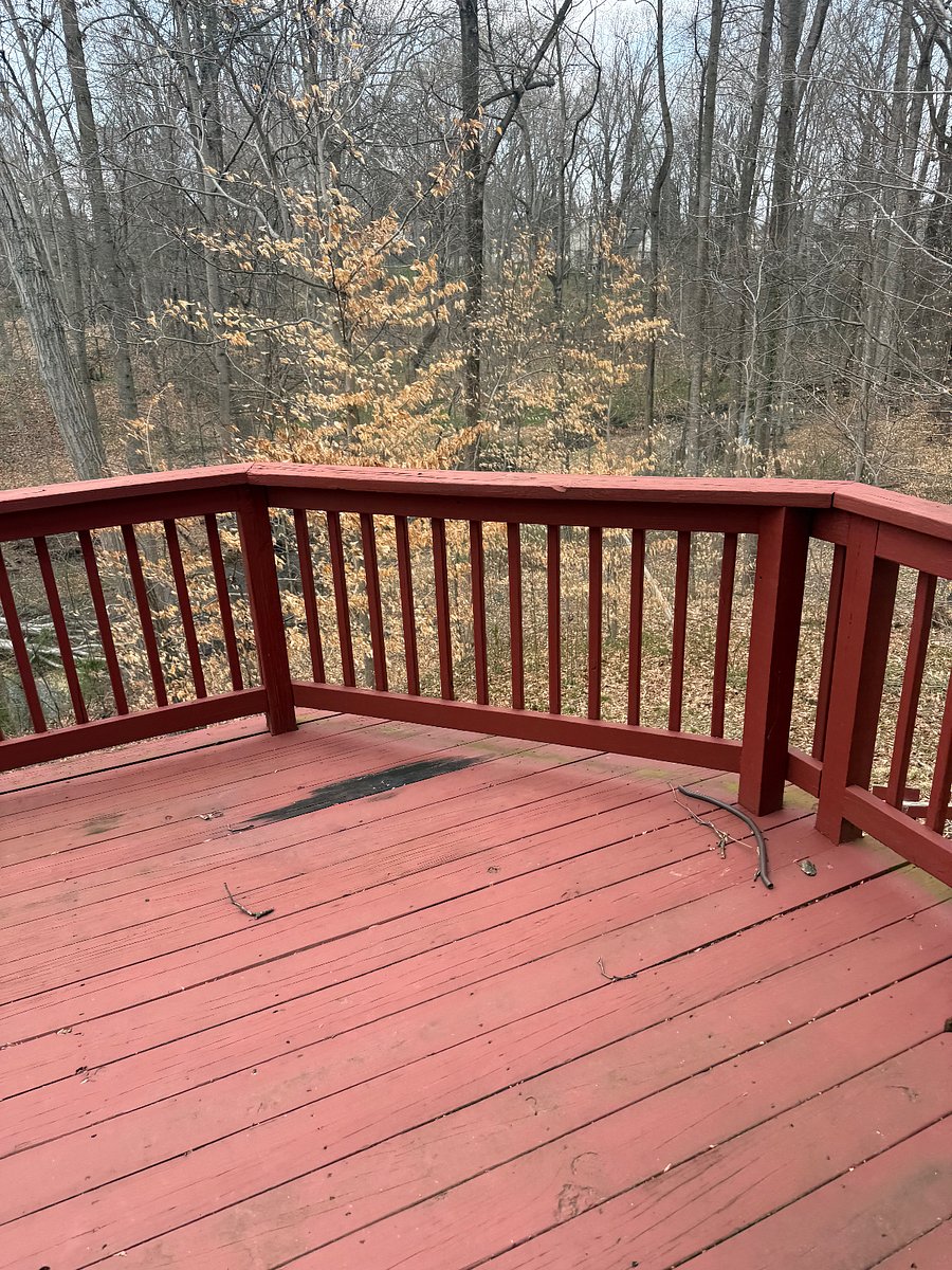 Furnished Finder property 975382_1 photo 9