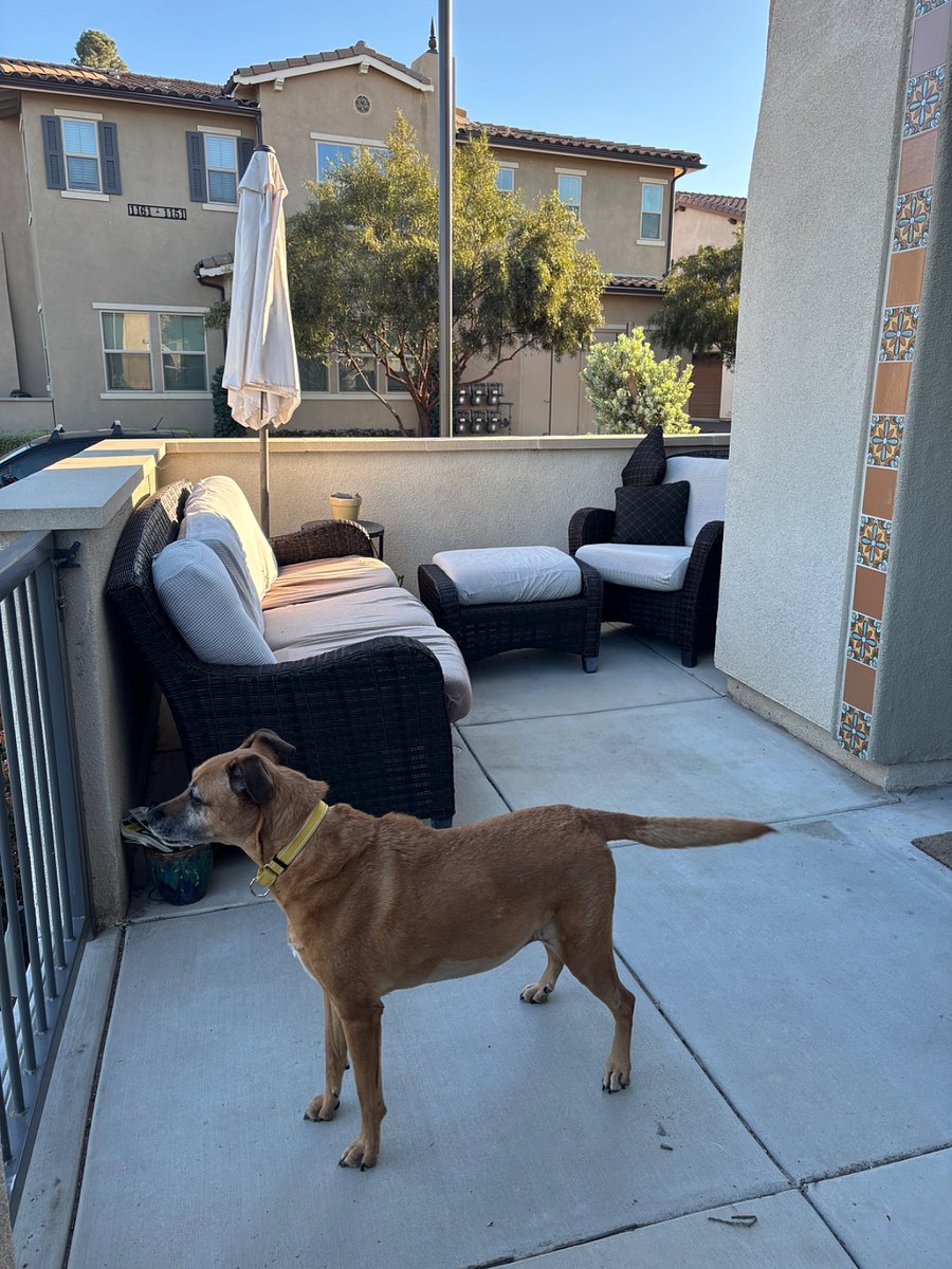 Front patio