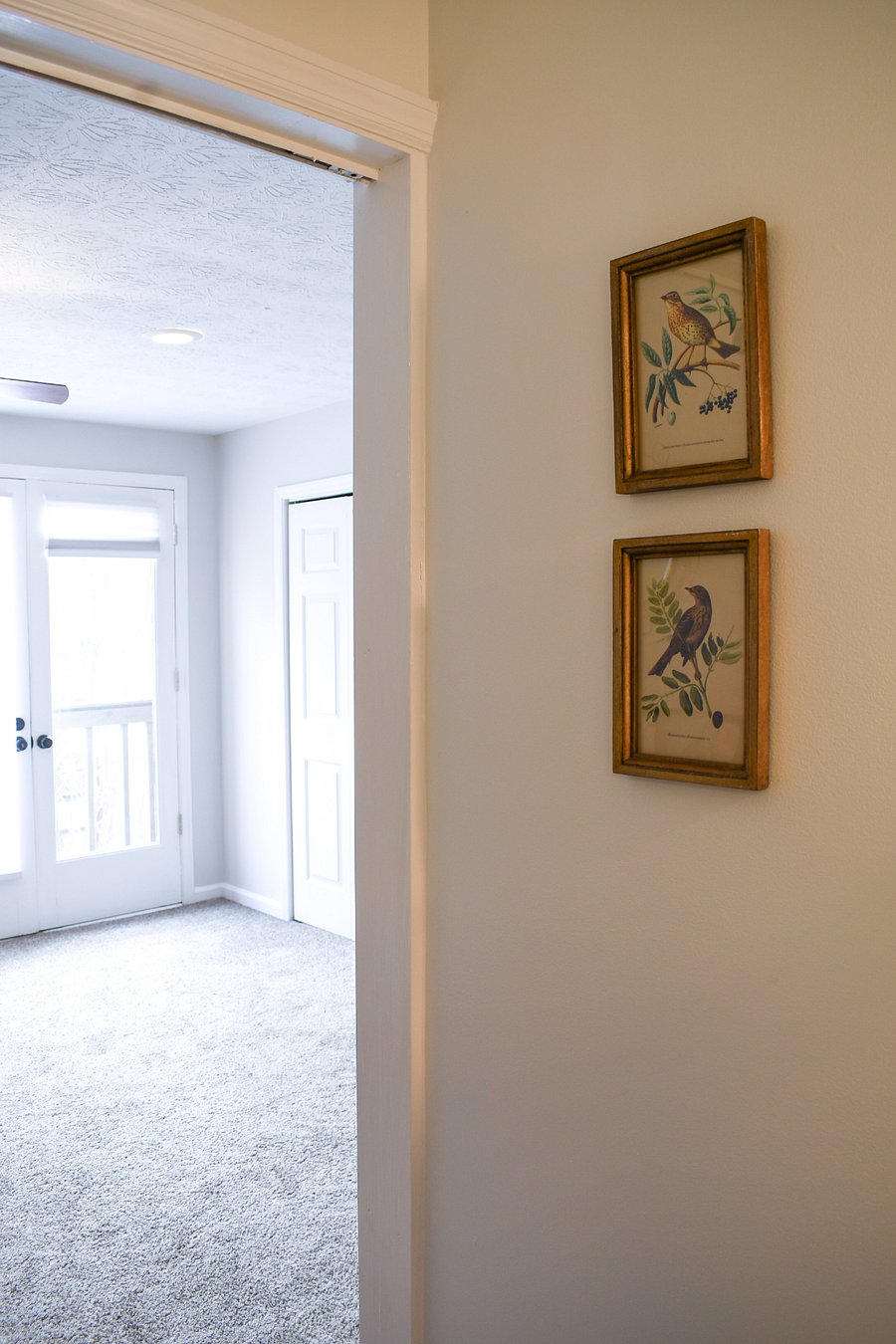 Furnished Finder property 975555_1 photo 15