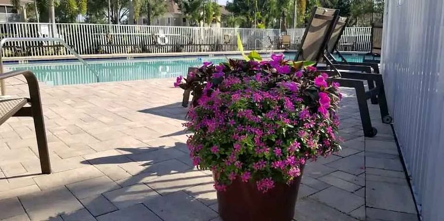 Furnished Finder property 975631_1 photo 11