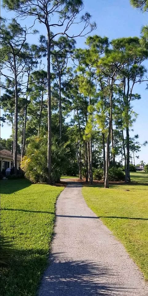 Furnished Finder property 975631_1 photo 15