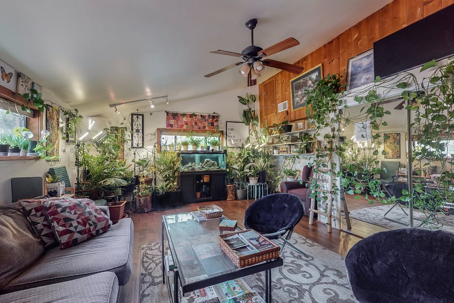 Common/shared living room for guests