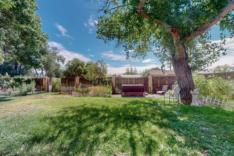 Shared Backyard