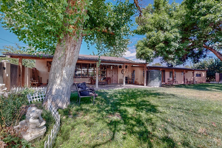 Shared Backyard